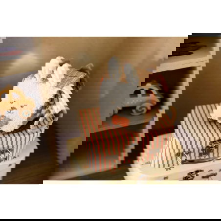 Cube d'activités | Animal friends - Jollein