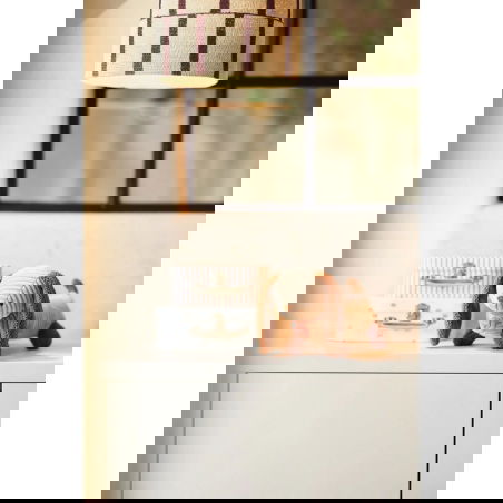 Chien en peluche | Diego dog - Jollein