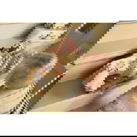 Triangle d'activités | Tiny Park - Jollein