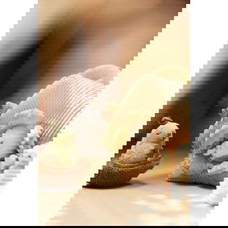 Jouet d'activités Cache-cache | Tiny Park - Jollein