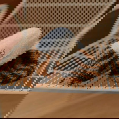 Chaussons teddy | Tigre - Rien que des bêtises