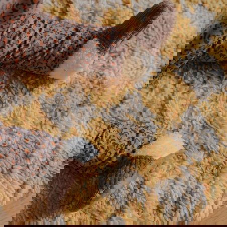 Chaussons velours | Parme - Rien que des bêtises