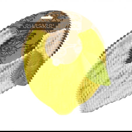 Bavoir coton | Lou le Citron - Oli and Carol