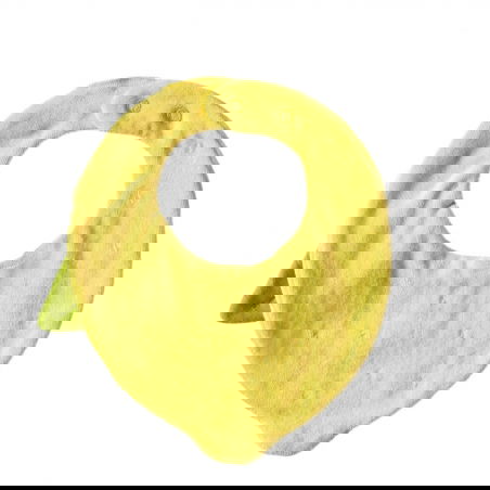 Bavoir coton | Lou le Citron - Oli and Carol