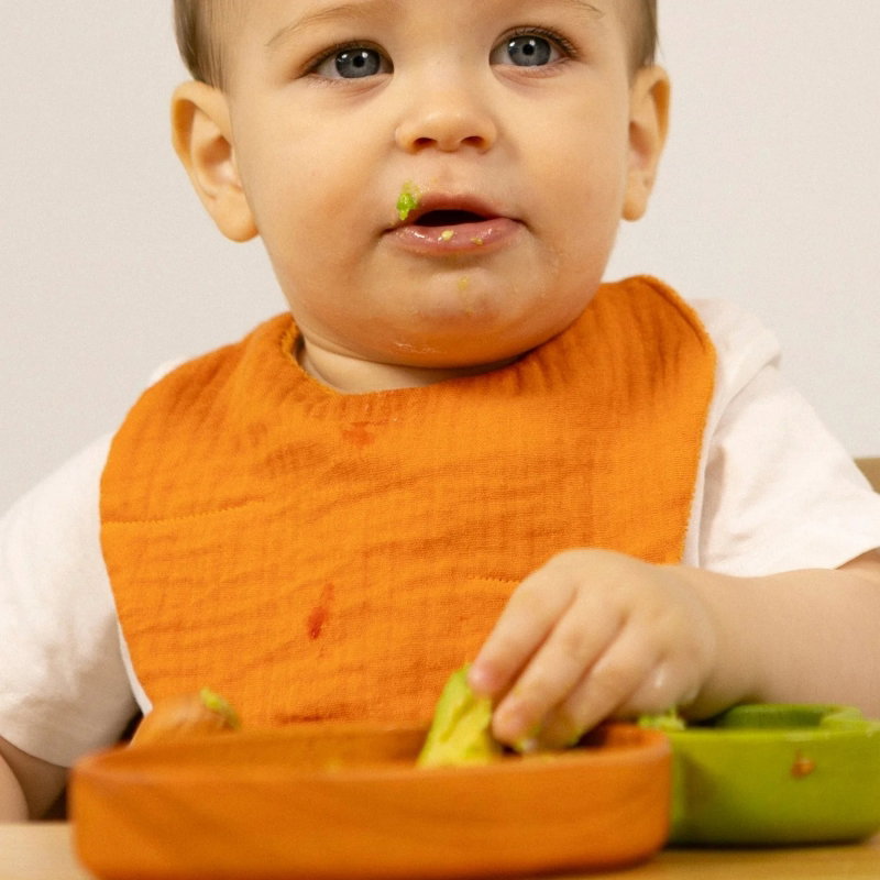 Bavoir coton | Cathy la Carotte