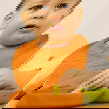 Bavoir coton | Cathy la Carotte - Oli and Carol