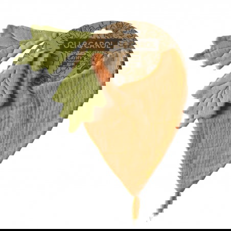 Bavoir coton | Cathy la Carotte - Oli and Carol