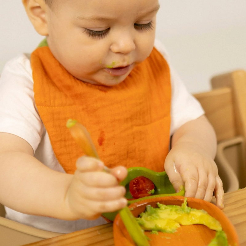 Bavoir coton | Cathy la Carotte