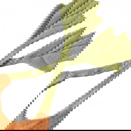 Bavoir coton | Cathy la Carotte - Oli and Carol