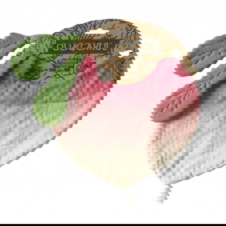 Bavoir coton | Ramona le Radis - Oli and Carol