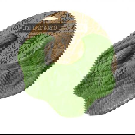 Bavoir coton | Kendall le Chou - Oli and Carol