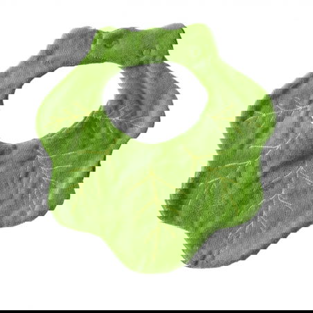 Bavoir coton | Kendall le Chou - Oli and Carol