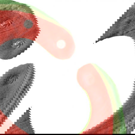 Bavoir coton | Wally la Pastèque - Oli and Carol