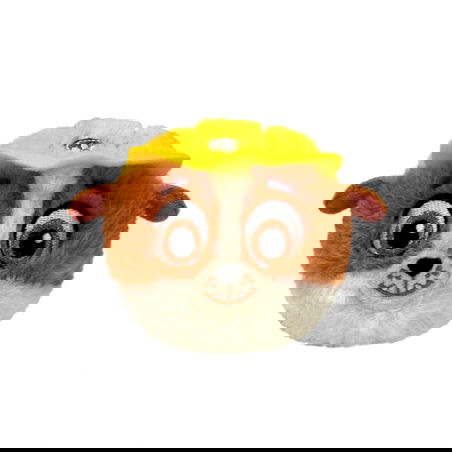 Balle rebondissante | Ruben - Ty