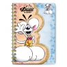 Carnet A6 Diddl - coloris aléatoire