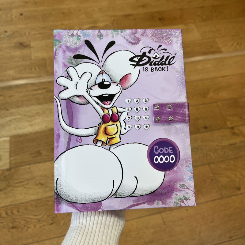 Journal secret digicode Diddl