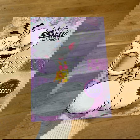 Journal secret digicode Diddl - Diddl