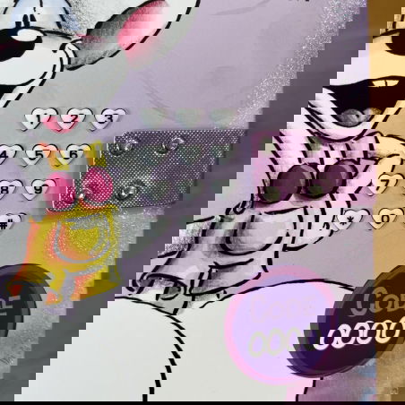 Journal secret digicode Diddl - Diddl