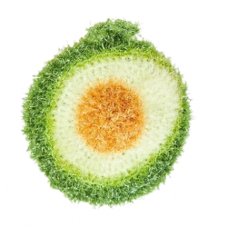 Eponge vaisselle | Avocat - JoliPoom