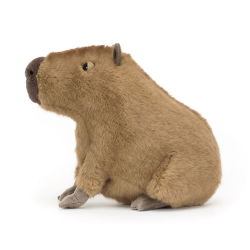 Doudou Capybara