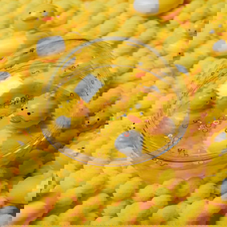 Balle à eau Happy Bubbles | Canard