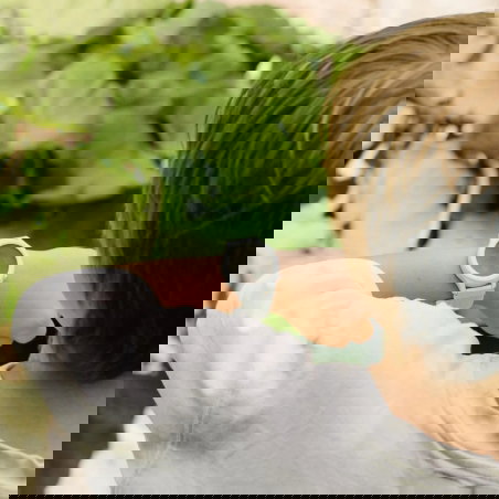 Montre interactive K-Watch | Vert - Kidywolf