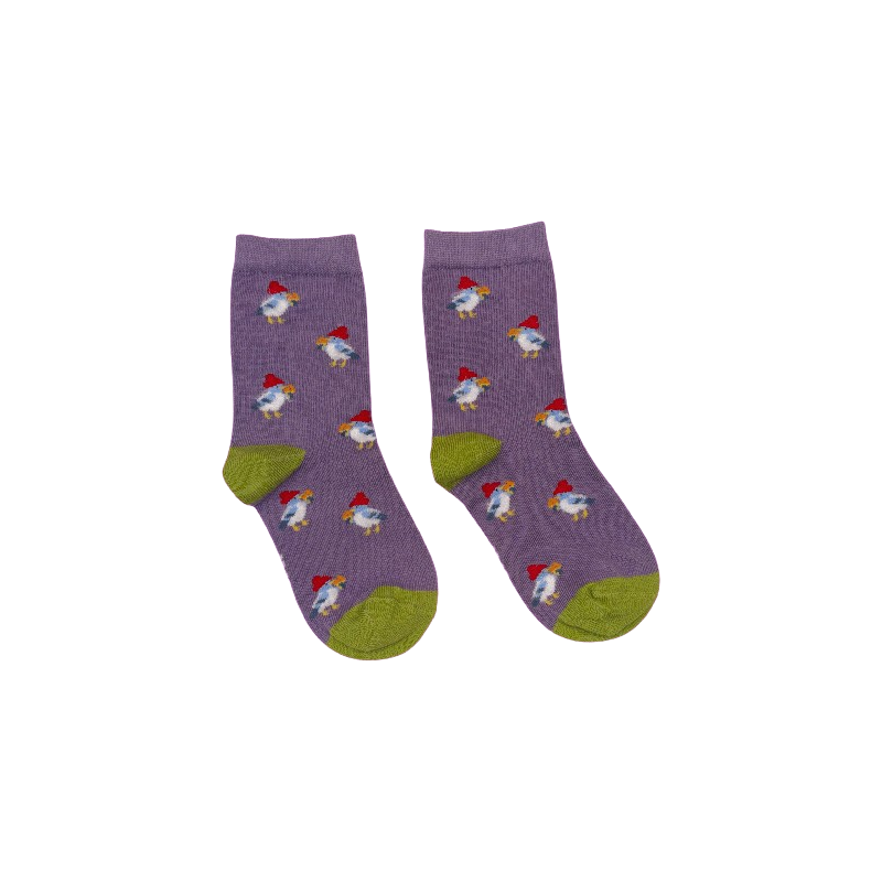 Chaussettes adulte | Coco