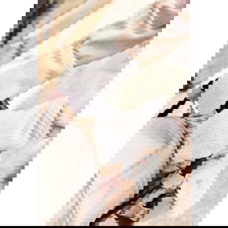 Moufles poussette | Naturel - Jollein