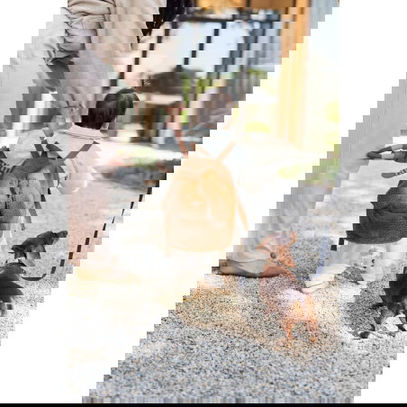 Sac à dos teddy | Diego Dog - Jollein