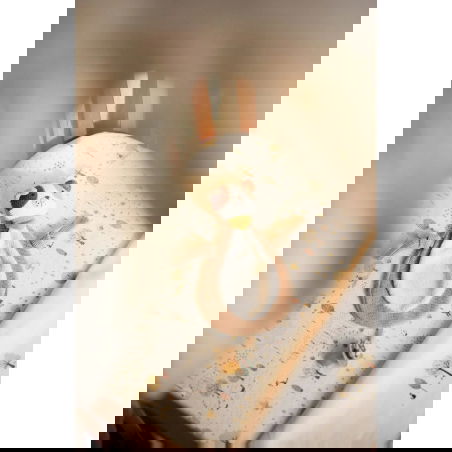 Doudou attache tétine | Dog Mick - Jollein