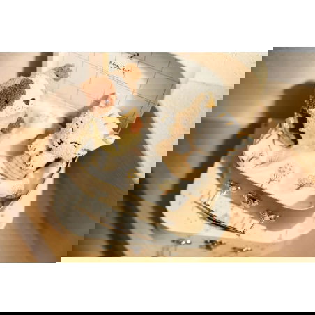 Hochet main et pied peluche | Dog Mick - Jollein