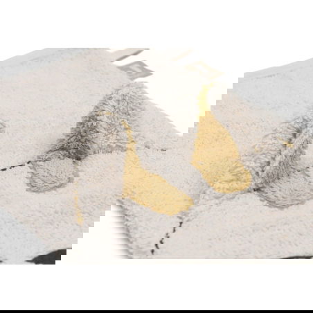 Gant de toilette éponge | Charlie Cat - Jollein