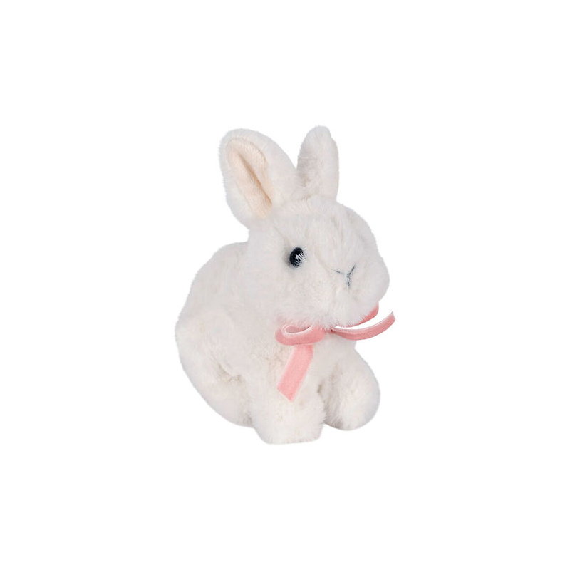 Bébés animaux | Lapin