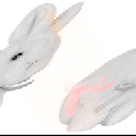 Bébés animaux | Lapin