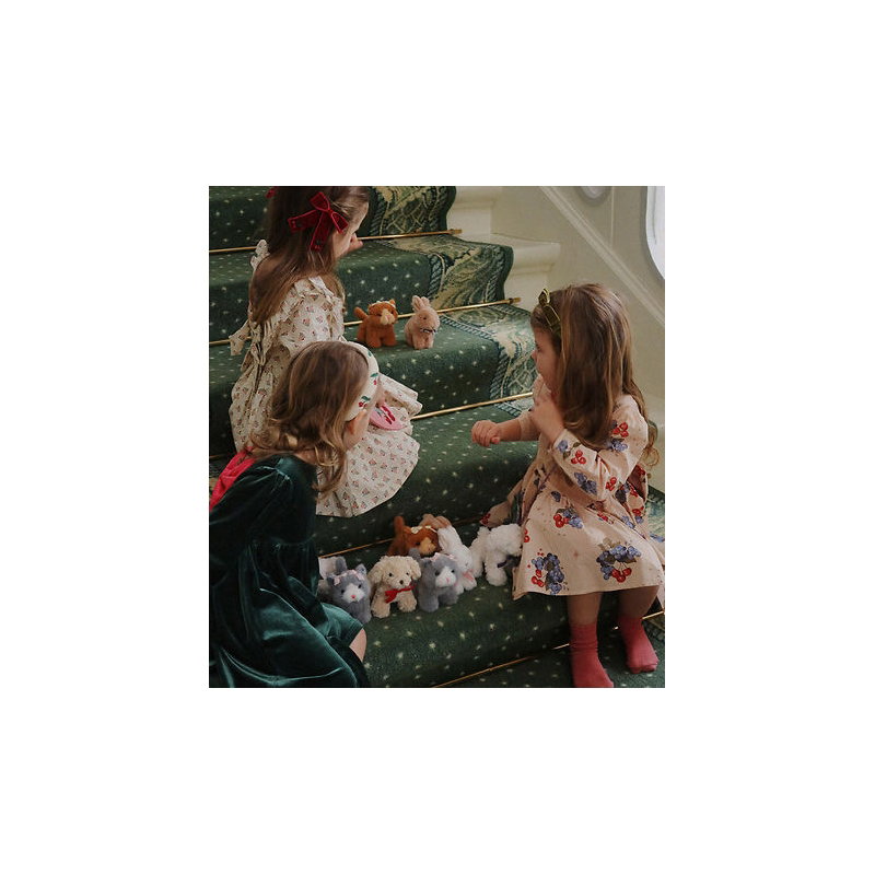 Bébés animaux | Lapin