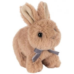 Bébés animaux | Lapin marron