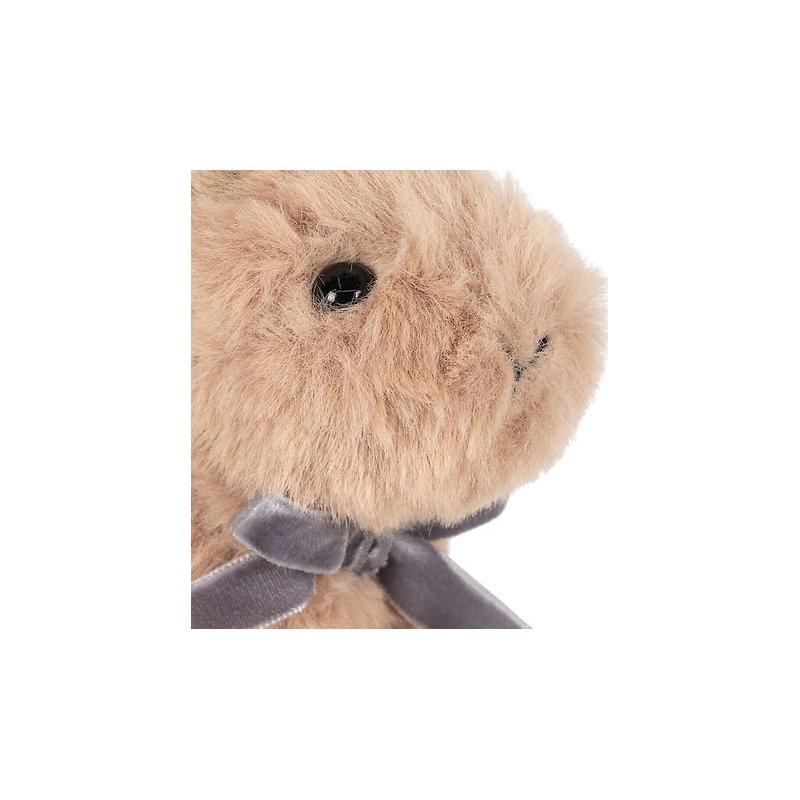 Bébés animaux | Lapin marron