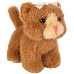 Bébés animaux | Chat marron