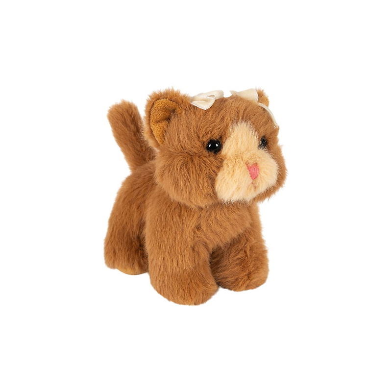 Bébés animaux | Chat marron