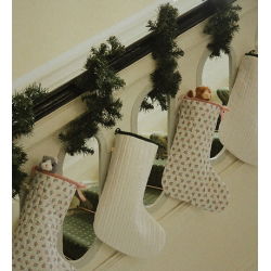 Bébés animaux | Chat marron