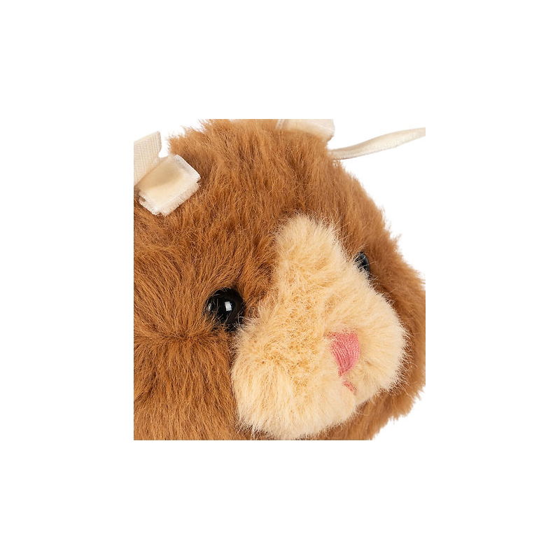 Bébés animaux | Chat marron