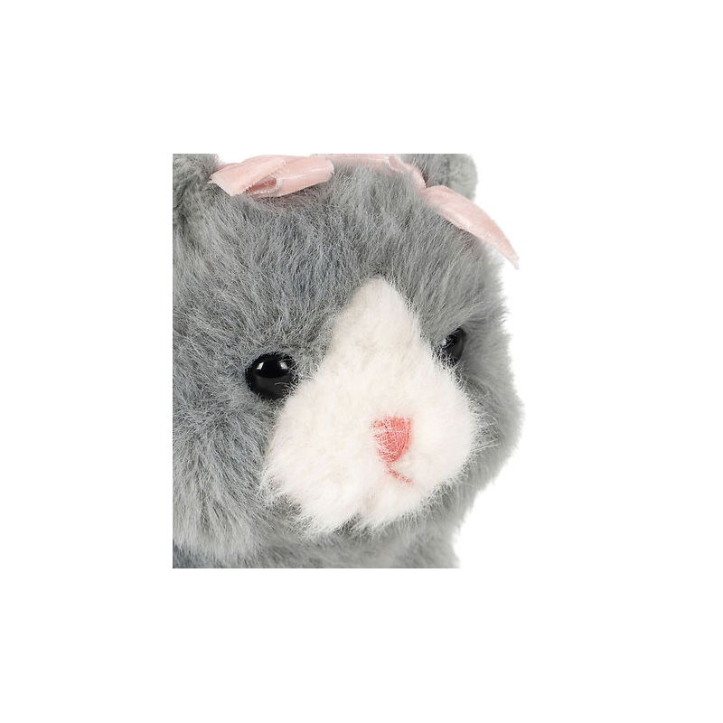 Bébés animaux | Chat gris