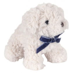 Bébés animaux | Chien blanc