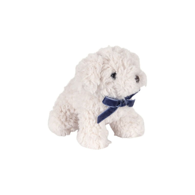 Bébés animaux | Chien blanc