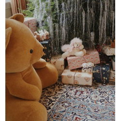 Bébés animaux | Chien blanc