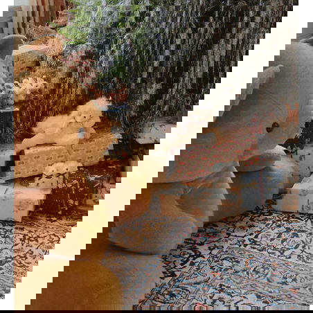 Bébés animaux | Chien blanc - Konges Slojd