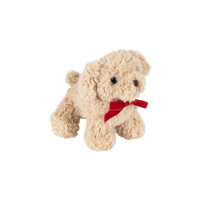 Bébés animaux | Chien beige