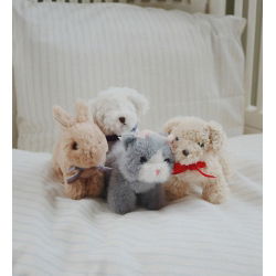 Bébés animaux | Chien beige