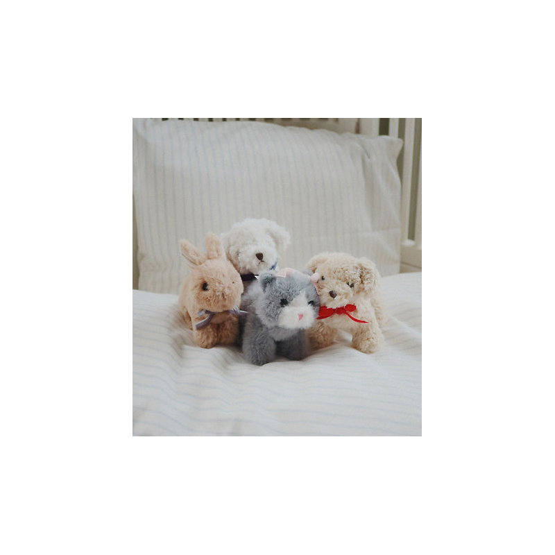 Bébés animaux | Chien beige