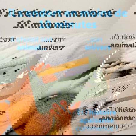 Mon petit Morphée - Morphée